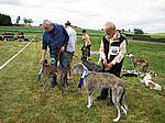die CAC Hunde