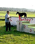 S + L Rüden
