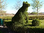 - Hundeschule - 21.4.2012 -
